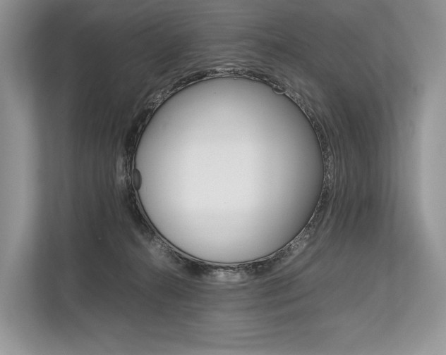 X0000113760272200909230953