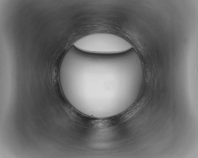 X0000113760273200909230953
