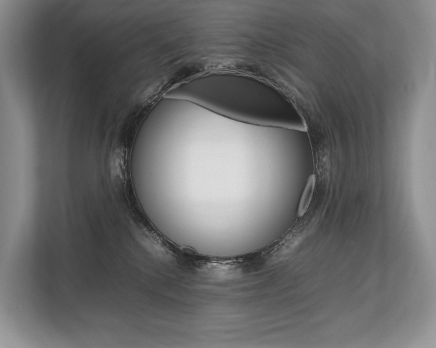 X0000113760280200909230953