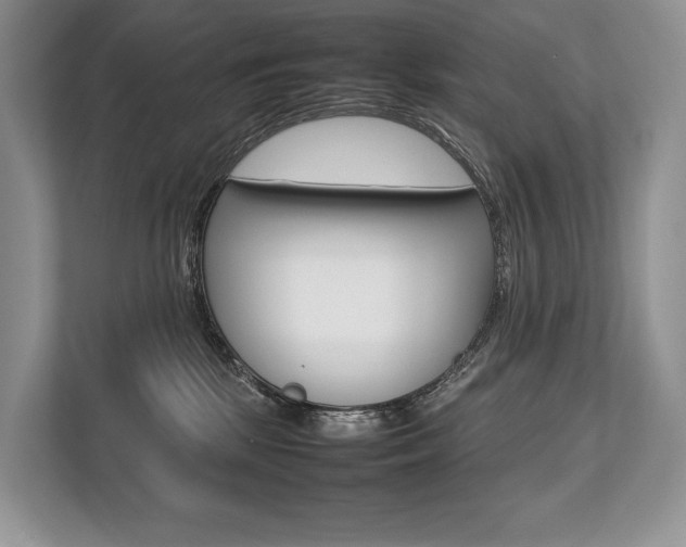 X0000113760281200909230953
