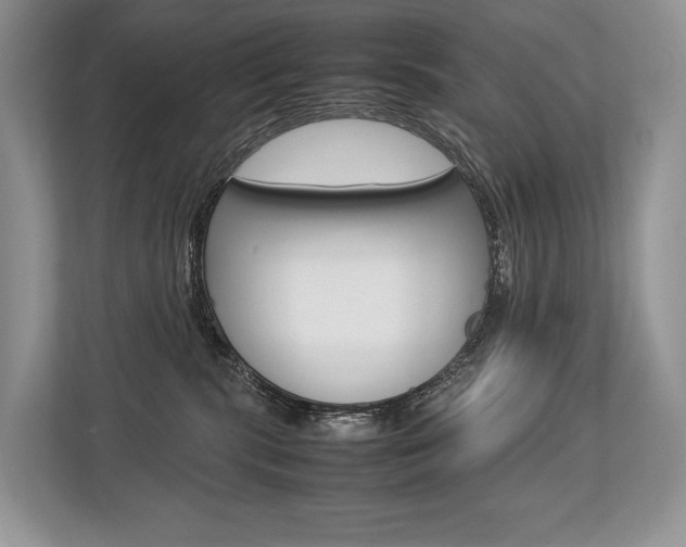 X0000113760283200909230953