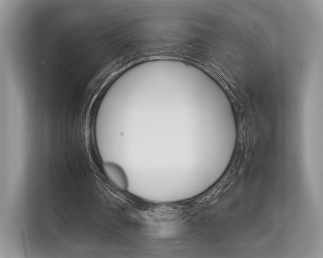 X0000113760290200909230953