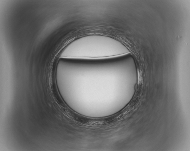 X0000113760291200909230953