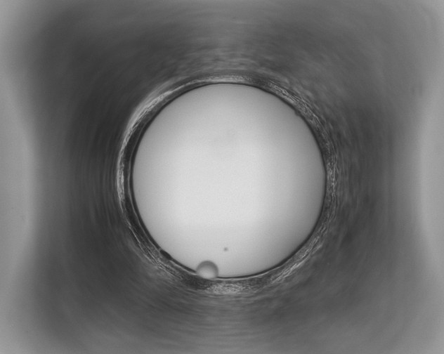 X0000113760294200909230952
