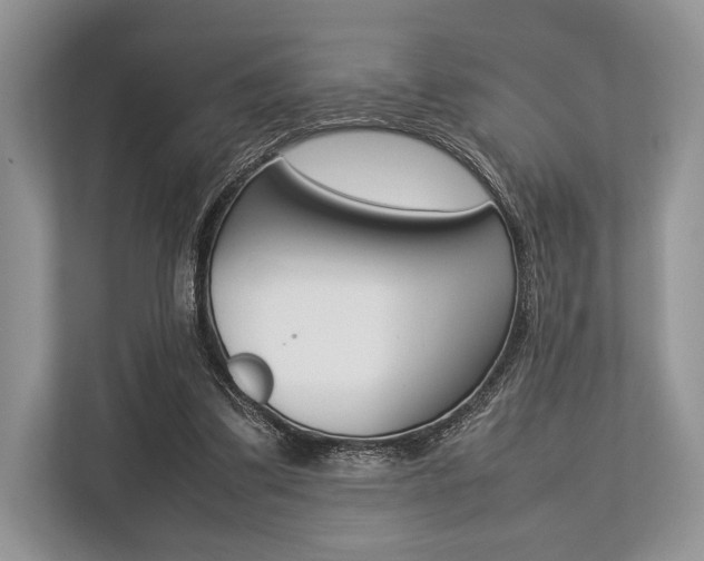 X0000113760299200909230952