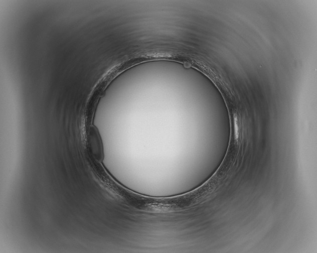 X0000113760300200909230952