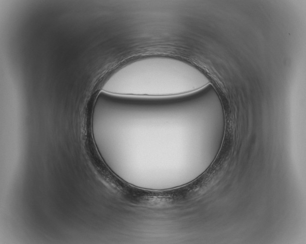 X0000113760303200909230952