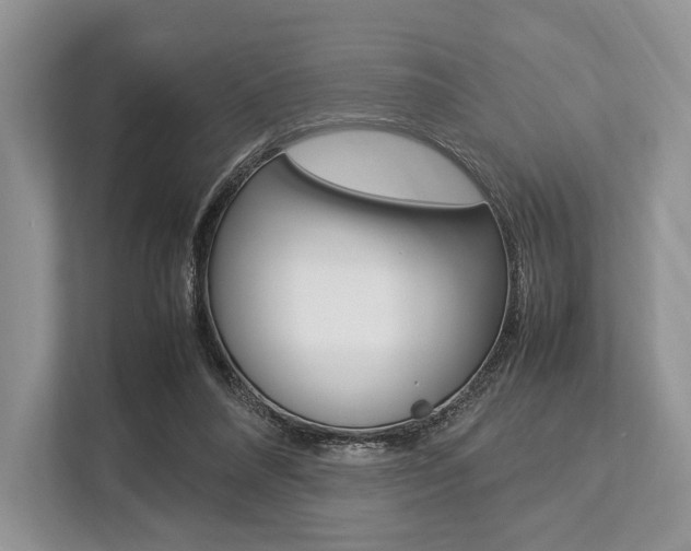 X0000113760304200909230952