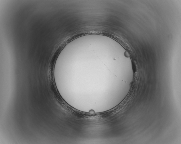 X0000113760306200909230952