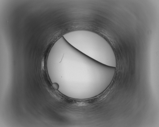 X0000113760310200909230952