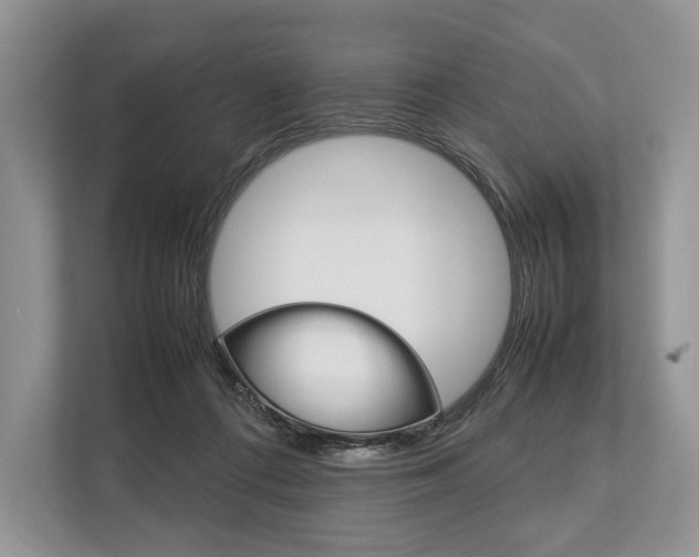 X0000113760312200909230952