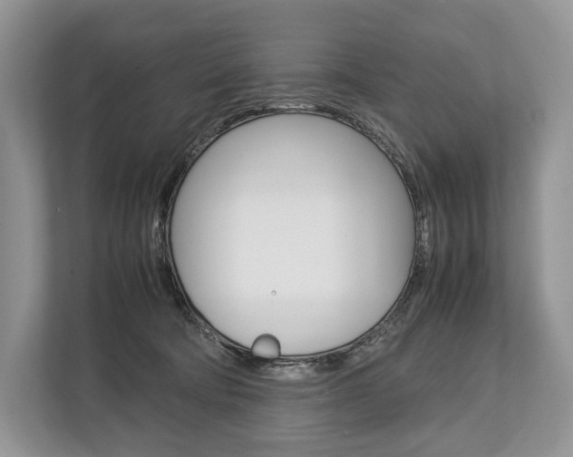 X0000113760322200909230952