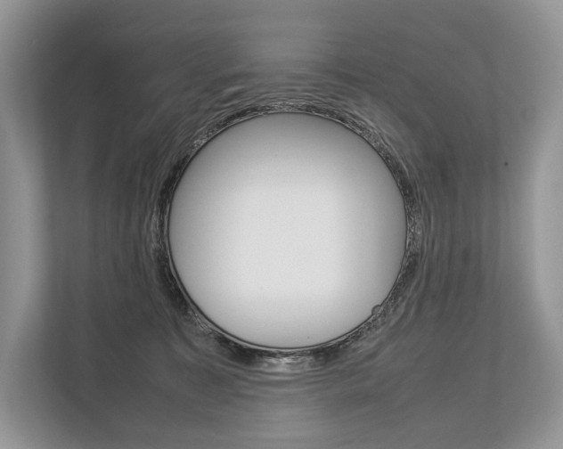 X0000113760323200909230952