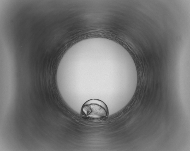 X0000113760324200909230952