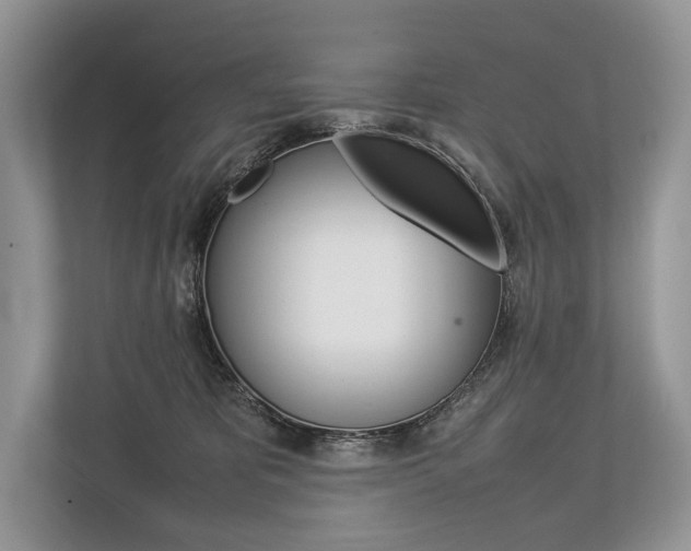X0000113760325200909230952
