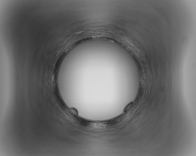 X0000113760327200909230952