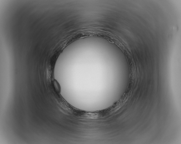 X0000113760328200909230952
