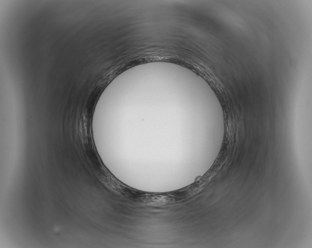 X0000113760330200909230952