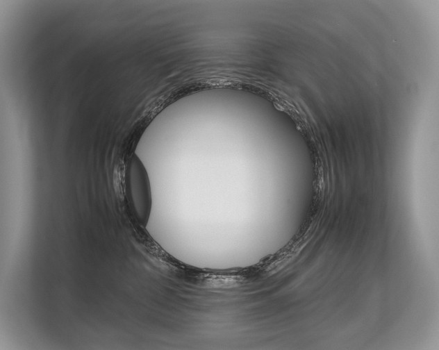 X0000113760332200909230952