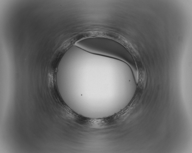 X0000113760333200909230952