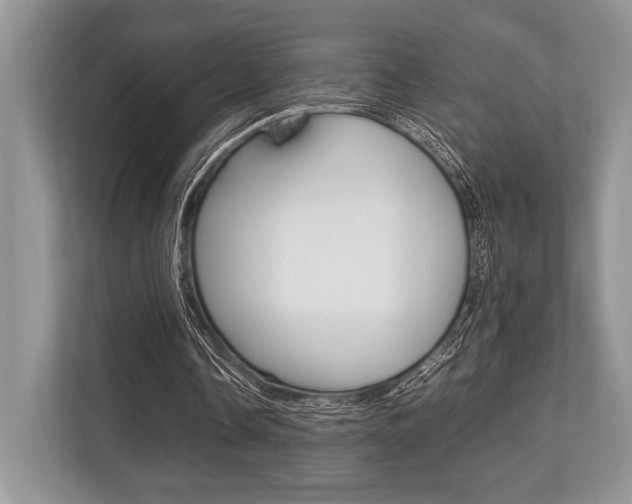 X0000113760338200909230951