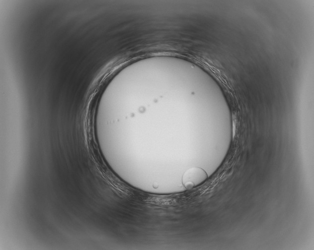 X0000113760339200909230951