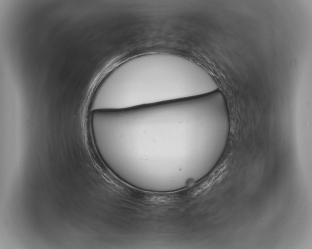 X0000113760341200909230951