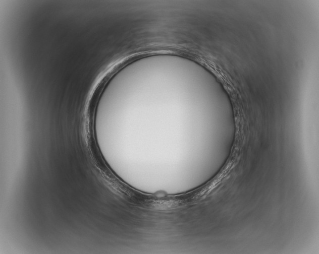 X0000113760342200909230951