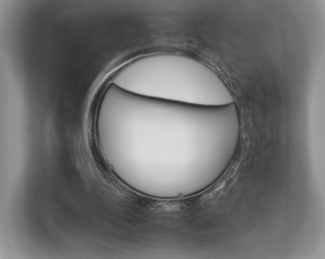 X0000113760343200909230951