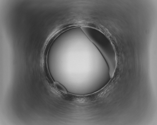 X0000113760344200909230951