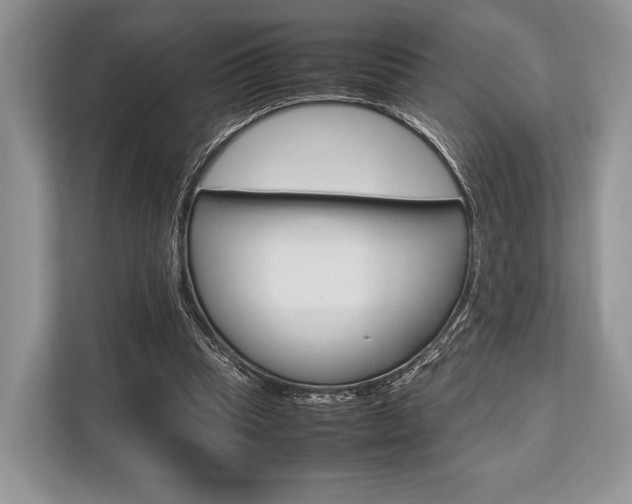 X0000113760345200909230951