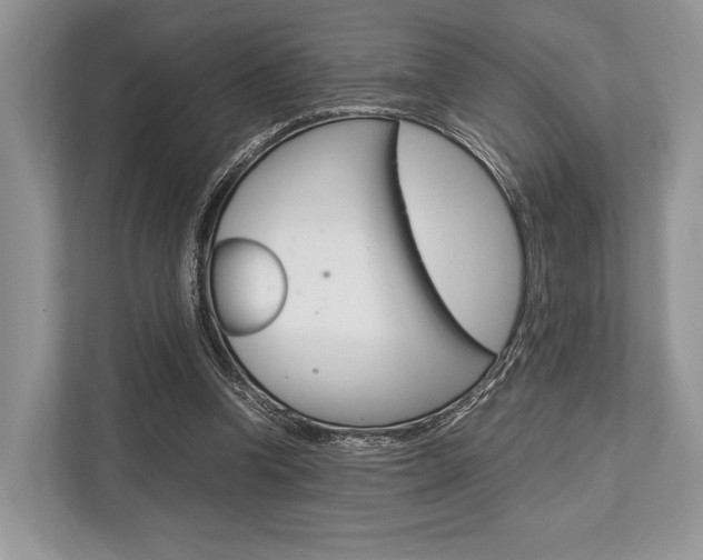 X0000113760346200909230951