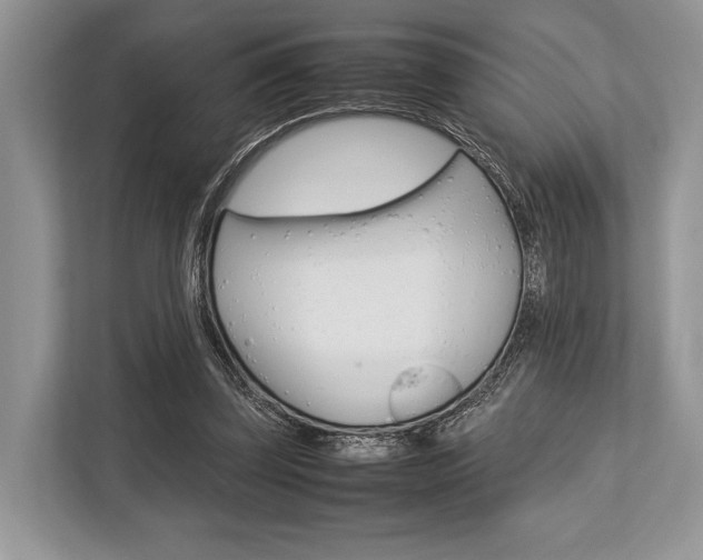 X0000113760347200909230951
