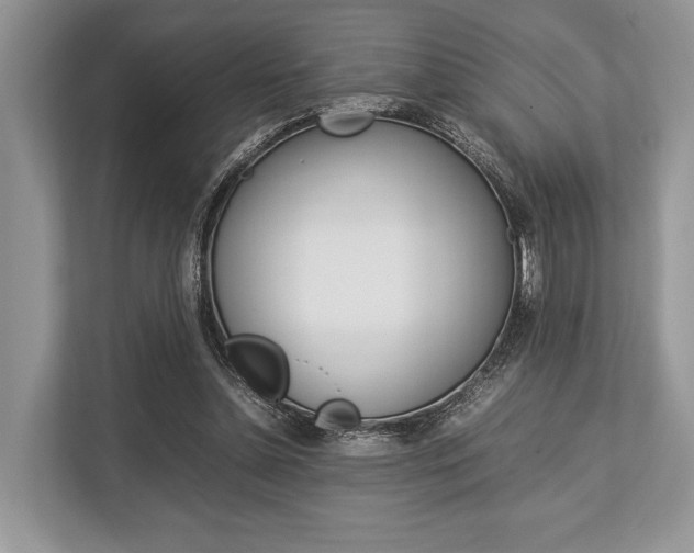 X0000113760348200909230951