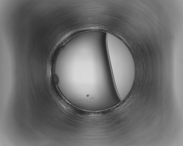 X0000113760350200909230951