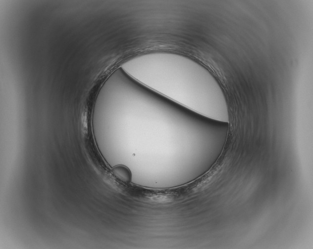 X0000113760358200909230952