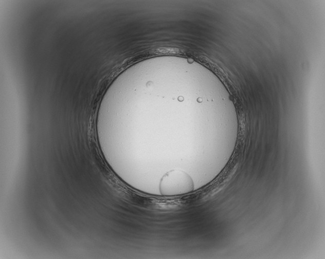 X0000113760359200909230952