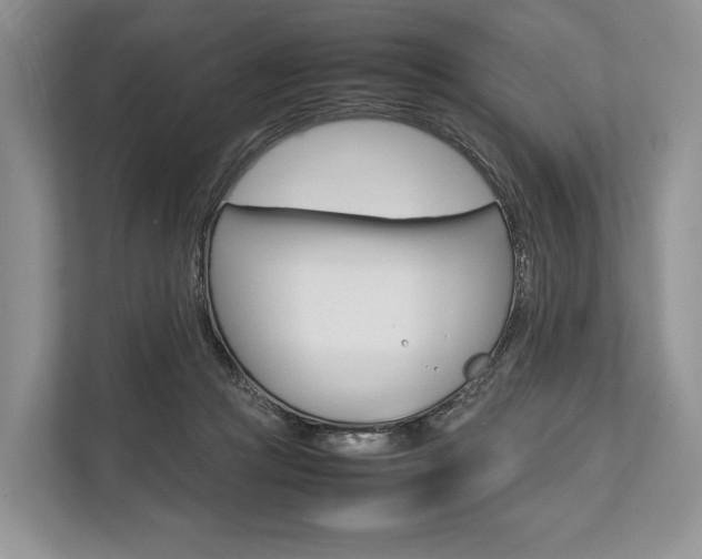 X0000113760361200909230952