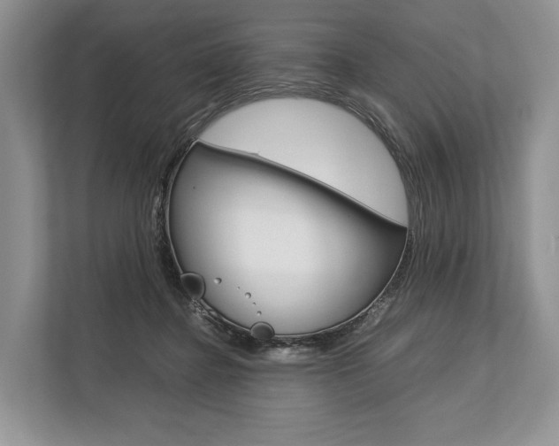 X0000113760364200909230952