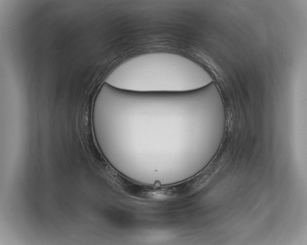 X0000113760365200909230952