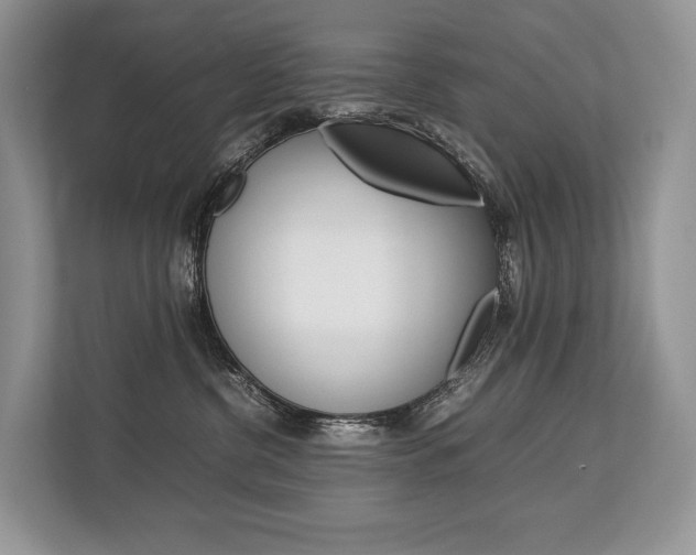 X0000113760380200909230952