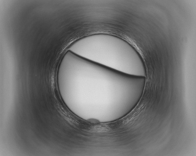 X0000113760386200909230951