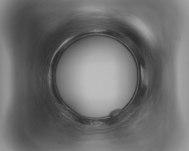 X0000113760387200909230951