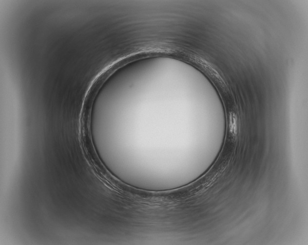 X0000113760388200909230951