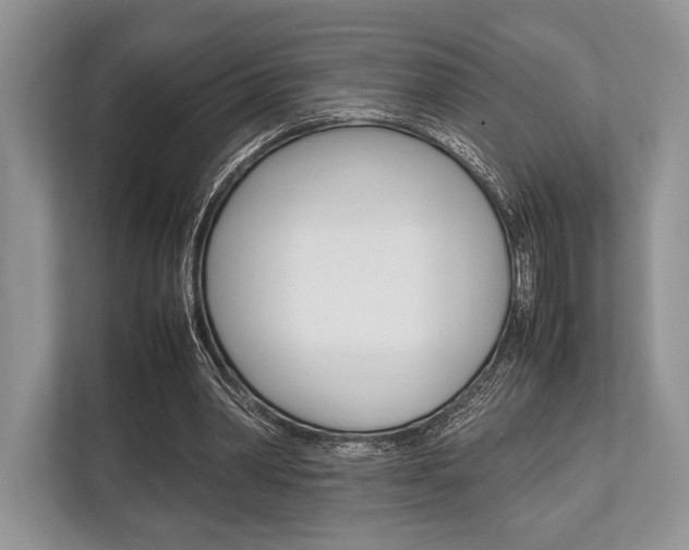 X0000113760390200909230951