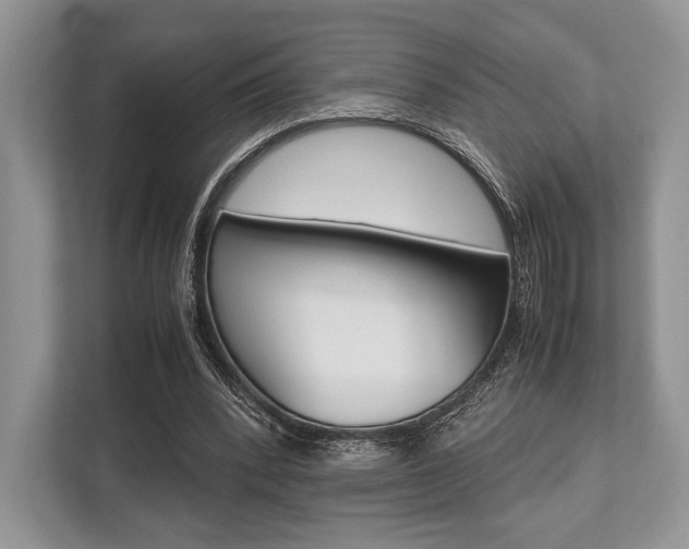 X0000113760392200909230951