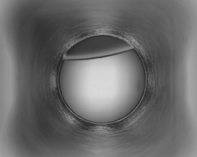 X0000113760393200909230951
