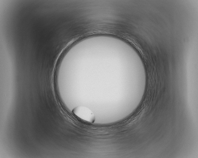 X0000113760395200909230951