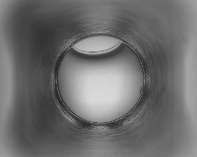X0000113760397200909230951