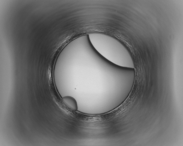 X0000113760398200909230951